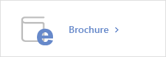 Online Brochure